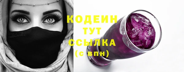 apvp Гусь-Хрустальный