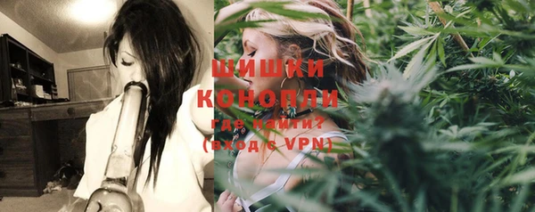 apvp Гусь-Хрустальный
