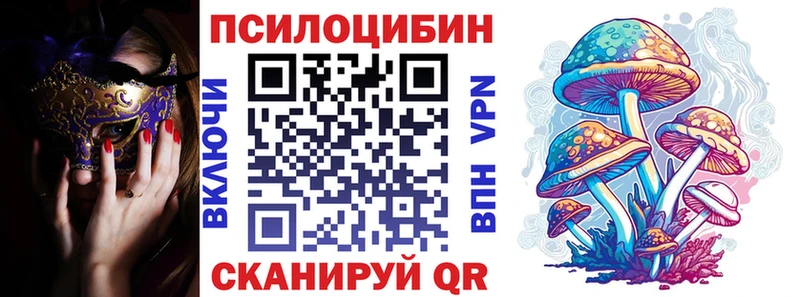 Купить закладки  Заполярный  Галлюциногенные грибы мицелий 